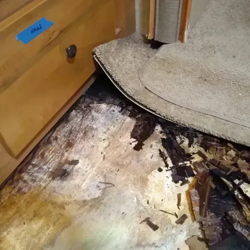 Wood Floor Water Damage in Maple Grove, MN